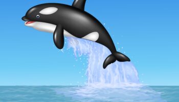 Orca Security